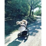 Muff rokavičke NA&OL White